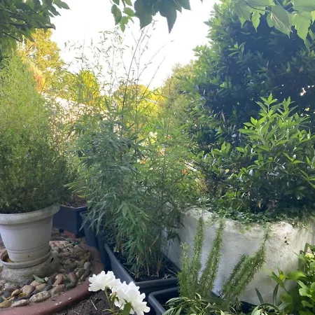 Le Charme A La Campagne Proche De Vichy Homestay